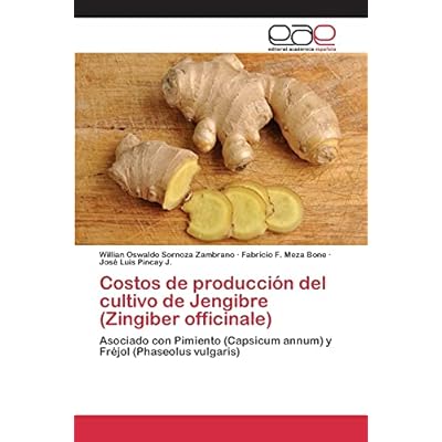 Costos de producci&oacute;n del cultivo de Jengibre (Zingiber officinale)