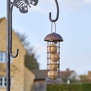 Garden Mile 26cm Acorn Bird Feeder Hanging Caged Bird Feeder Garden Outdoor Wild Bird Feeding Station Suitable for Bird Seeds, Peanuts, Suet Balls Guard Feeder Feeding Station (Suet Ball Feeder)