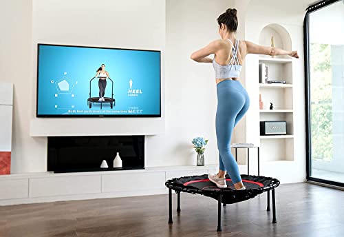 Pelpo 40" Folding Trampoline For Adults, Safe Exercise Trampoline With Silent Bungee Cord, Fitness And Weight Loss Trampoline, Indoor Mini Trampoline For Bounce Workout, Thin Black #TOP1