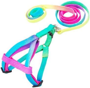 Arkhill New Small Pet/Dog/cat Colorful Harness with 47" Pull Leash