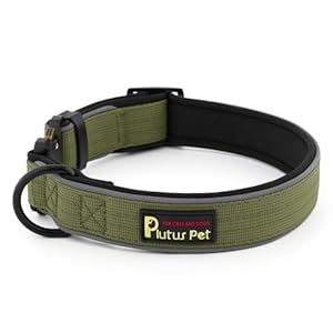 Plutus Pet Tactical Dog Collar, Reflective, Adjustable Heavy Duty Dog Collar, Soft Padded and Comfortable, for Small Medium and Large Dogs (Ranger Green, XL)