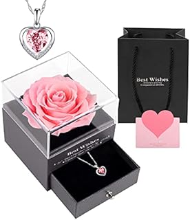 Preserved Forever Rose Eternal Rose Gift for Her Women Mum Wife Sister Daughter Girlfriend Gift Box with Love Necklace on Valentines Day Mothers Day Birthday Anniversary Handmade Pink Rose Flower