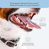 Zoom IMG-2 bau cosmesi dental formula 5 Zoom IMG-2 bau cosmesi dental formula 5