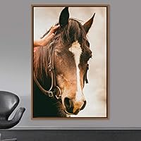 Framed Canvas Wall Art Horse Animals Dramatic Farmhouse/Country Horse Living Room Multicolor Photography - 16x24 inches