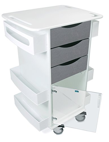 TrippNT 51425 Polyethylene/ABS Locking Core DX Multi-Tasking Storage Cart with Clear PETG Hinged Door, 23" Width x 35" Height x 19" Depth, Silver Metallic