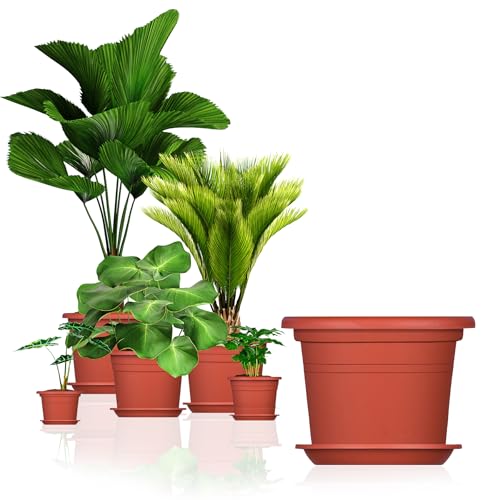 BigDean 5X Blumentopf Ø 25 cm Farbe Terrakotta & Untersetzer Kunststoff Pflanztopf Containertopf Übertopf Pflanzkübel rund 25 x 18 cm Blumentöpfe