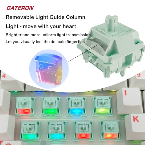 Interruptores de teclado de mola dupla Gateron Coral para teclado mecânico MX para jogos, interrupto