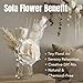 plawanature 4 Mixed Sola Flower Eco-Friendly Fragrance Diffuser, Handmade Thai Wood Flowers for Home Scenting and Wellness Decor