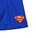 Superman Costume Logo Men's Underwear Boxer Briefs- Medium (32-34) Blue
