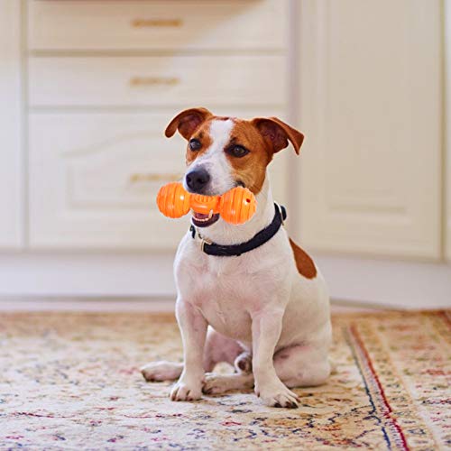 POPETPOP 3 PeÃ§as de Brinquedo para Mastigar Osso de Cachorro Pet Brinquedos de Mordida Estridente F