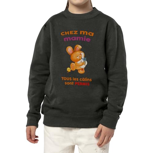 Sweatshirt enfant câlins permis : fini les pulls irritants pour les journées chez mamie