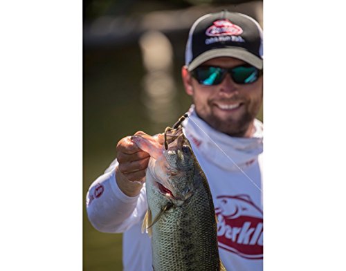 Isca Berkley Power Bait Maxscent Hit Worm Isca (10 unidades), sementes de abóbora, 11,4 cm