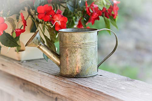 Better Crafts Metal Watering Can - Thumbnail 2