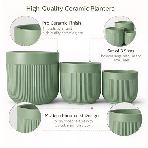 Image of Xtore Ceramic Ribbed Planter Set with Matte Finish | Modern Minimalist Flower Pots for Home, Office, Balcony & Living Room Decor - (Set of 3, Sage Green, Planter ONLY)