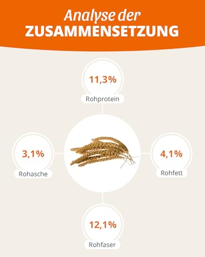 Kolbenhirse gelb 500g - Einzelfuttermittel für alle Ziervögel - Vogelfutter - 100% Natur – Bild 5