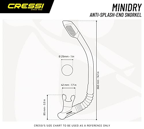 Review de Mini equipo buceo - los más vendidos. 15 Imagen adicional