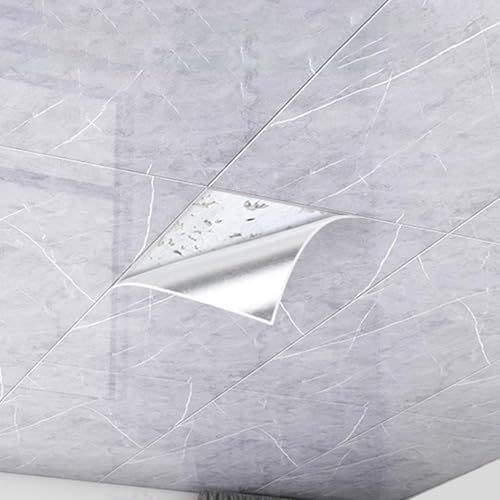 Baldosas de Techo Autoadhesivas de PVC, Paneles autoadhesivos Impermeables, Ideales para proyectos de Bricolaje en techos de baños y hogares (40 Piezas A)