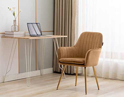 Artechworks Velvet Modern Living Dining Room Arm Chair Club Leisure Guest Lounge Bedroom Upholstered Chair With Gold Metal Legs, Camel Color #TOP3