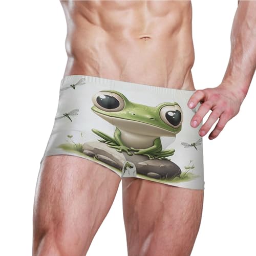 Cute Frog Green Mens Swim Trunk Swimwear Bathing Suit Swim Brief Square Leg Board Short S S04065433