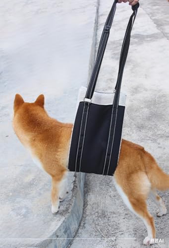 Ganzkörper Tragehilfe, Treppenhilfe, Dog Carrier Hundetrage, Tragegurt, Verstellbarer Hunde Tragehilfe, Hebegeschirr für Hunde mit Bewegungsproblemen