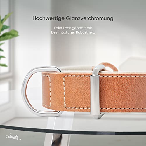 FREUDENTIER® Hundehalsband aus Leder, Made in EU, gefüttert & super komfortabel, hochwertiges breites Lederhalsband aus Vollnarbenleder, Model “Amstelpark” (42-52cm Halsumfang, Cognac)
