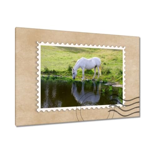 Cheval blanc peinture imprimée sur toile 90x60 cm pour salon | H1370M