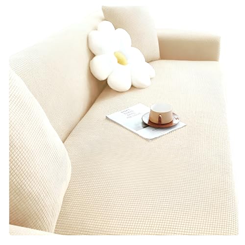 [Caividom]yh\t@Jo[z S݃^Cv ~ߕt \t@یJo[ rOp 􂦂 FI\ G{XHłɈS 90`140cm ItzCg