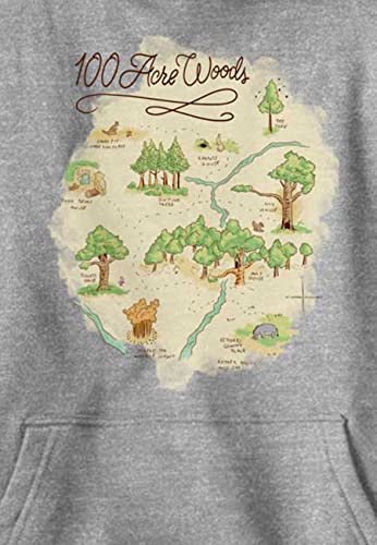 Disney Boys' 100 Acre Map Hoodie2