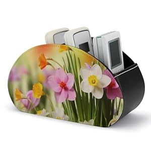 TKJMCSW Frühlingsblumen Leder Fernbedienungshalter