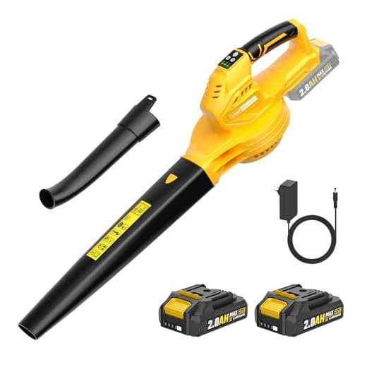 Soplador de Hojas, 20V soplador de Hojas electrico de 2×2.0Ah con Batería y Cargador,3 velocidades, Velocidad de 240 km/h, autonomía 55 min,Soplador de Hojas Eléctrico para el Cuidado del Césped