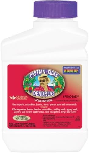 Bonide Captain Jack's Dead Bug Brew Conc. Pint