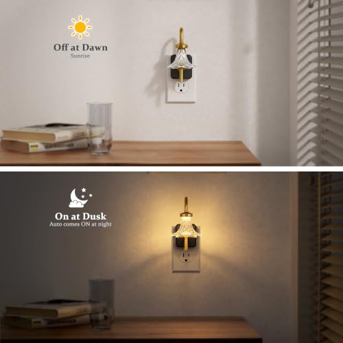 Image of JandCase Night Light, Night Lights Plug into Wall, Glass Flower Nightlight