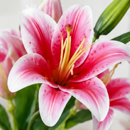 Image of CURATED CART 1 Pcs Lily Artificial Flowers Bunch for Home Decoration - Big Lily Bouquet for Home Decor - Real Touch Faux Latex Long Stem - Includes 2 Flowers and 1 Half Bloom Bud - Dark Pink