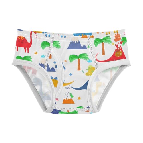 Cute Dinosaur Toddler Boy's Underwear 2T 202c1139