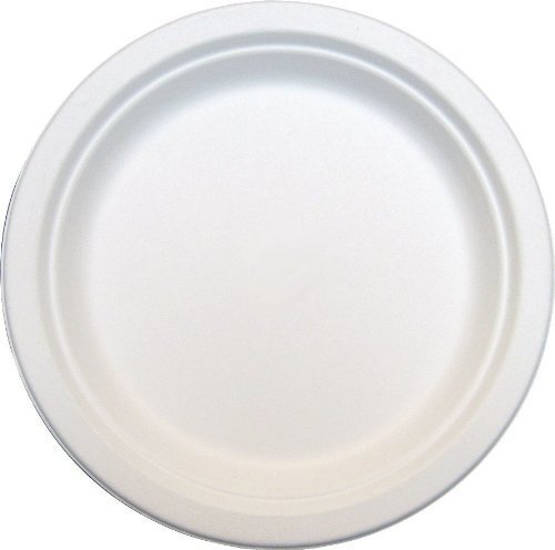125 x Round 9" Strong Paper Plates Biodegradable Bagasse Disposable for Dinner Side Starter - 23cm Diameter