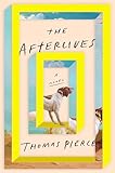 The Afterlives: A Novel