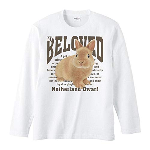 GCfBGXiMYDSj lU[hh[tiejybg V[Y/TVc//ݽM