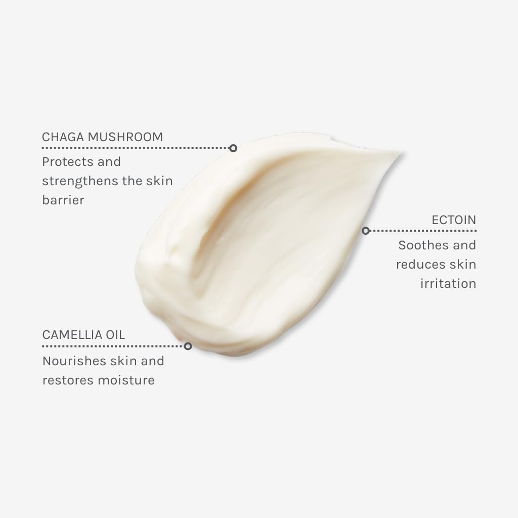 Evolve Organic Beauty - Pro+ Ectoin Soothing Cream | Soothe, Protect, Restore | Chaga Mushroom, Camellia Oil | Small Batch, Vegan Clean Beauty (2 oz | 60 ml) Package May Vary - Image 3