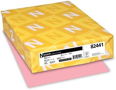 Wausau Vellum Bristol Cardstock, 67 lb, 8.5 x 11 Inches, Pastel Pink, 250 Sheets (82441)