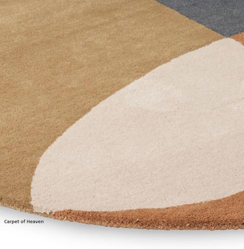 Image of Irregular Shape Handmade Woolen Carpet Multi Colour Size 4x6 feet
