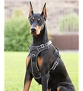 Dog Harness (XL, Black)
