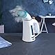 Beldray BEL0725TQ Tragbarer Dampfglätter mit Dampfbürste, 600W Steamer, Reise Dampfglätter für Kleidung, Polster, Vorhänge, schnelles Aufheizen, Chemikalienfreie Reinigung, Falten leicht glätten