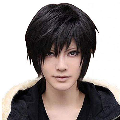 Men's Black Short Straight Hair Wig