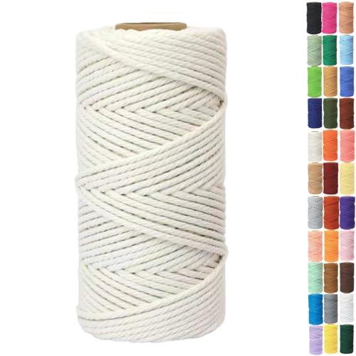 Binwat Macrame Cord Thick Natural Cotton Cord DIY Crafts Yarn Thread Twisted Spool Twine String Cotton Rope for Wall Hanging,Plant Hangers,Knitting,Decorative Projects 4mm x100m (Natural white)