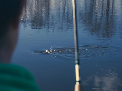 Ensemble Canne et Moulinet Mitchell MX Pro pour la Pêche au Prédateur en Eau Douce - 6
