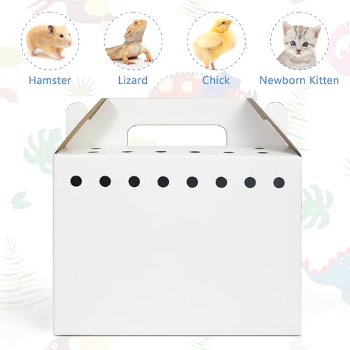 Harhana transportadora de papelão descartável para animais de pequeno porte - pacote com 12