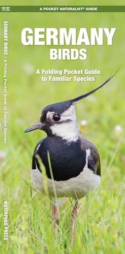 Germany Birds: A Folding Pocket Guide to Familiar Species (Pocket Naturalist Guide) (Nature Observation International)