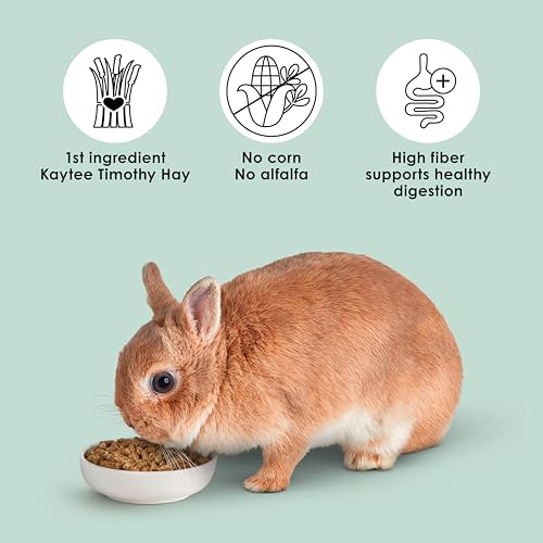 Kaytee Rabbit Food, Timothy Complete Rabbit Food Pellets, 9.5 Pounds - image 6