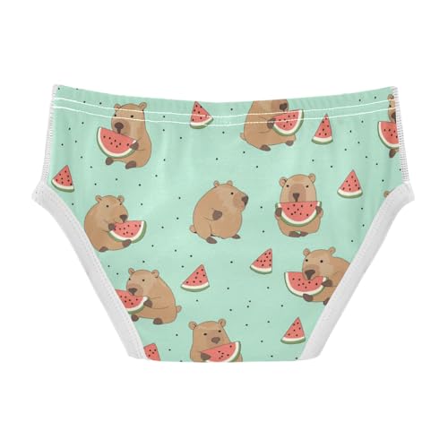 Wusikd Cute Capybara Boys' Underwear Cotton Watermelon Boys Briefs Soft Toddler Underwear 2T2