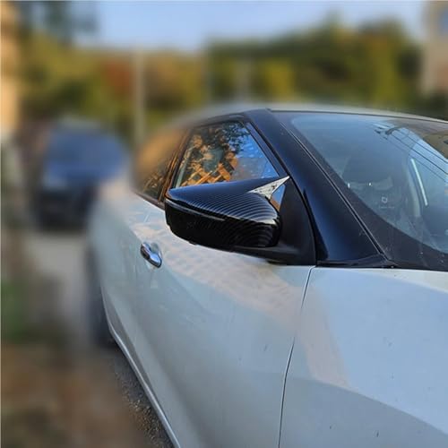 Cubierta espejo retrovisor lateral con acabado embellecedor exterior premium 6